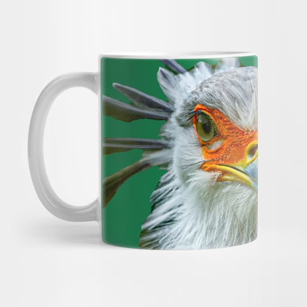 Secretary Bird by dalyndigaital2@gmail.com